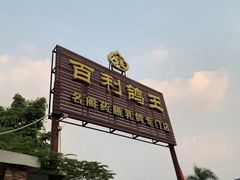 -百利鸽王(紫薇路店)