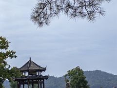 -东湖落雁景区