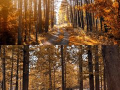 -玉渡山自然风景区