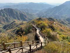 -大岭沟猕猴桃谷风景区