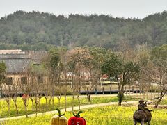 -黄陂区野村谷景区