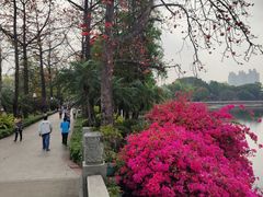 -东山湖公园