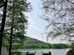 -长广溪湿地公园