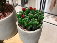 -ICICLE之禾女装店(国贸商城店)