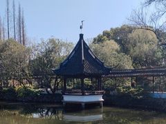 -上海醉白池公园