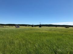 -塞罕坝国家级自然保护区