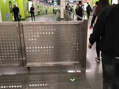 -大望路(地铁站)