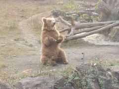 -宁波野生动物园