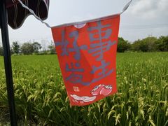 -嘉北郊野公园