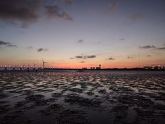 -南汇嘴观海公园