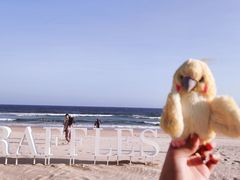 -海南清水湾莱佛士酒店