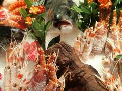 -Mr·Fish鱼鲜生海鲜放题(银泰in99店)