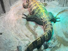 -济南野生动物世界