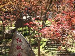 -广州市帽峰山景区