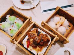 素真菌菜苗饺-乙龍天