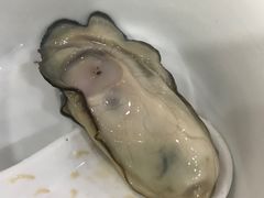 -老季苏州藏书羊肉馆