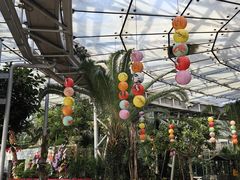 -北京植物园-展览温室