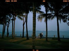 -深圳湾公园(南山区)