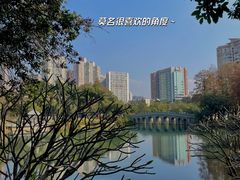 -四海公园(南山区)