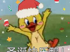 -好彩猪肚鸡(正弘城店)