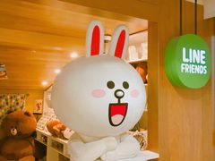 -line friends(明洞旗舰店)