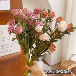 -小梨·OndaPro·专业脱毛连锁机构