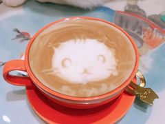 -猫色咖啡·猫咖