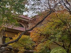 -八大关景区