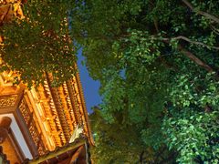 -大佛寺高级素食自助餐厅