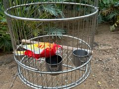 -南宫五洲植物乐园