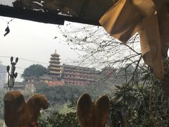 -懒鱼时光馆(沙坪坝店)