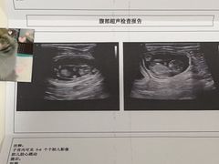 -艾贝尔宠物医院·24H转诊中心·肿瘤猫专科(江宁双龙店)