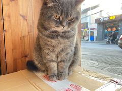 -B.O.M波姆烘焙(凤凰街店)