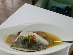 -梧桐