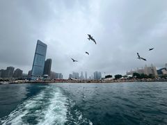 -将相和·海鲜蒸饺大连菜