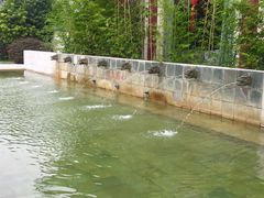 -江门古兜温泉小镇