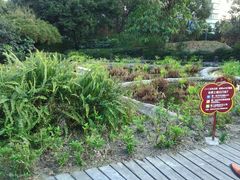 -成都市活水公园