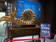 -贝壳王国博物馆