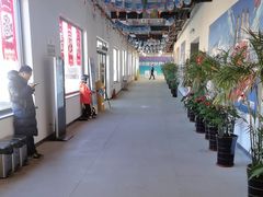 -蓟洲国际滑雪场