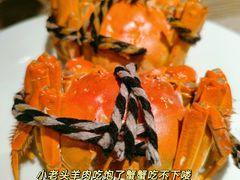 -上海佘山世茂艾美酒店