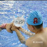 孩子第一次上游泳课[调皮]