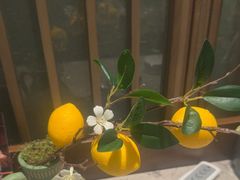 -百富源·海鲜辽菜(和平北大街店)