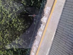 -香港大学