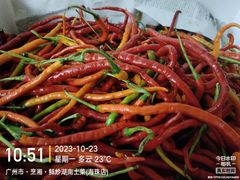 -烹湘·鲜炒湖南土菜(海珠店)