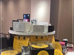 -浣熊唱片店(上海影城店)