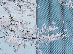 -龙美术馆(西岸馆)