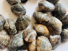 -山海关清和浑锅店