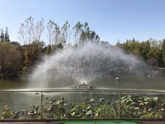 -梅林春晓花园餐厅