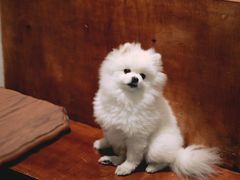 -工页咖啡X COFFEE(龙东路店)