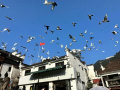 -九华山风景区